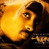 Pac4-ever