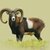 muflon