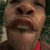 mrtvy_pes