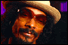 Snoop znovu v akcii