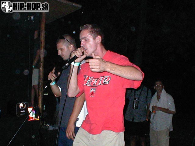 3j