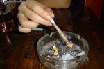 joint joint