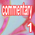 Commentary 1 (Skalica, 17.4.2004)