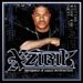 Xzibit - Weapons Of Mass Destruction