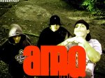 A.M.O. A.M.O.