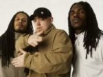 Phi-Life Cypher Phi-Life Cypher