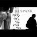 Stiahni si "Party shit 4 your ass" od DJa Spanka