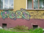 Zwer