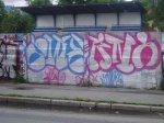 Zwer + Anal