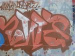 Zwer