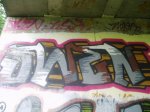 swen