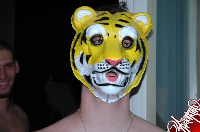 magellan v maske tata tigar