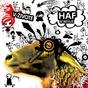 Haf & Beyuz - V Živote