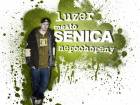 Wulgarny Luzer - Nepochopený