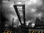Selfmade Records - Schwarzes Gold Selfmade Records - Schwarzes Gold