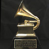 Nominácie cien Grammy 2010