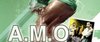 CARIBBEAN FRIDAY: A.M.O. & GHETTO YOUTHS SOUND