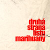 Druhá strana listu marihuany