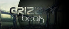 Daj si Grizzly Beats. Beaty, za ktoré by sa nemusel hanbiť ani Dj Wich!