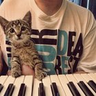 DJ Fatte: "To, že je v tom rap neznamená, že je to hip-hop. Hip-hop je jenom jeden."