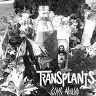 Transplants - Come Around