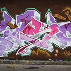Case z Viedne a jeho steny a panely