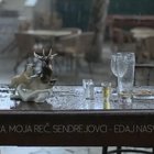 Moja Reč nakrútili videoklip s Parou a Sendreiovcami