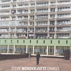 Boy Wonder teraz ako Števie Wonder