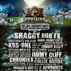 Festival Uprising 2014 štartuje už budúci týždeň! Máme podrobný program a nový dokument!